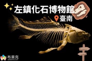【親子】左鎮化石博物館介紹！館區全攻略、門票、交通方式